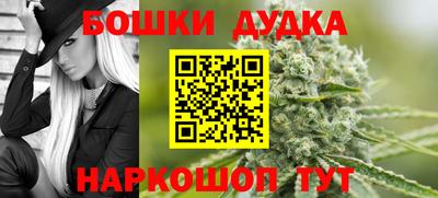индика Будённовск